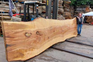 foto-hout-portret